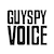 GuySPY Voice Image